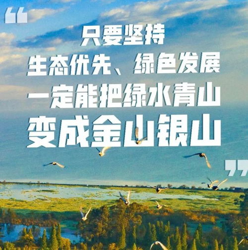 博润创投企业服务中心携手水木绿洲环保科技,引领甘泉堡工业园绿色化发展