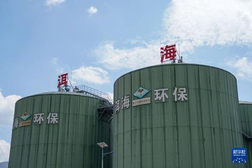 有机废物变环保产品 保护洱海有妙招