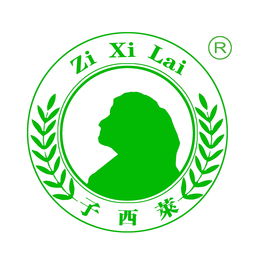 子西莱环保科技公司