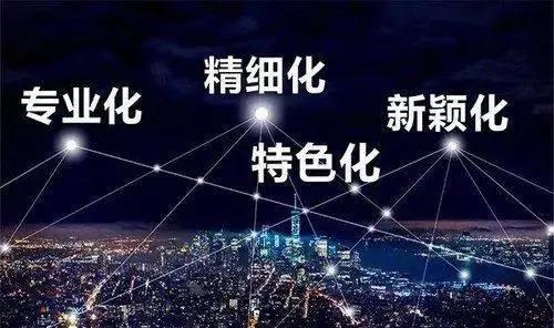 诺曼利尔成功通过2020年 专精特新 企业认定