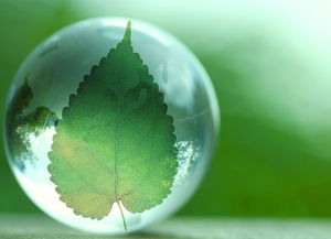 十三五环保科技点将专项 推动行业实现全方位跨越